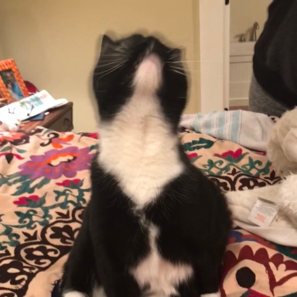 Meet your Posher, Helen - Picture 1 of 1